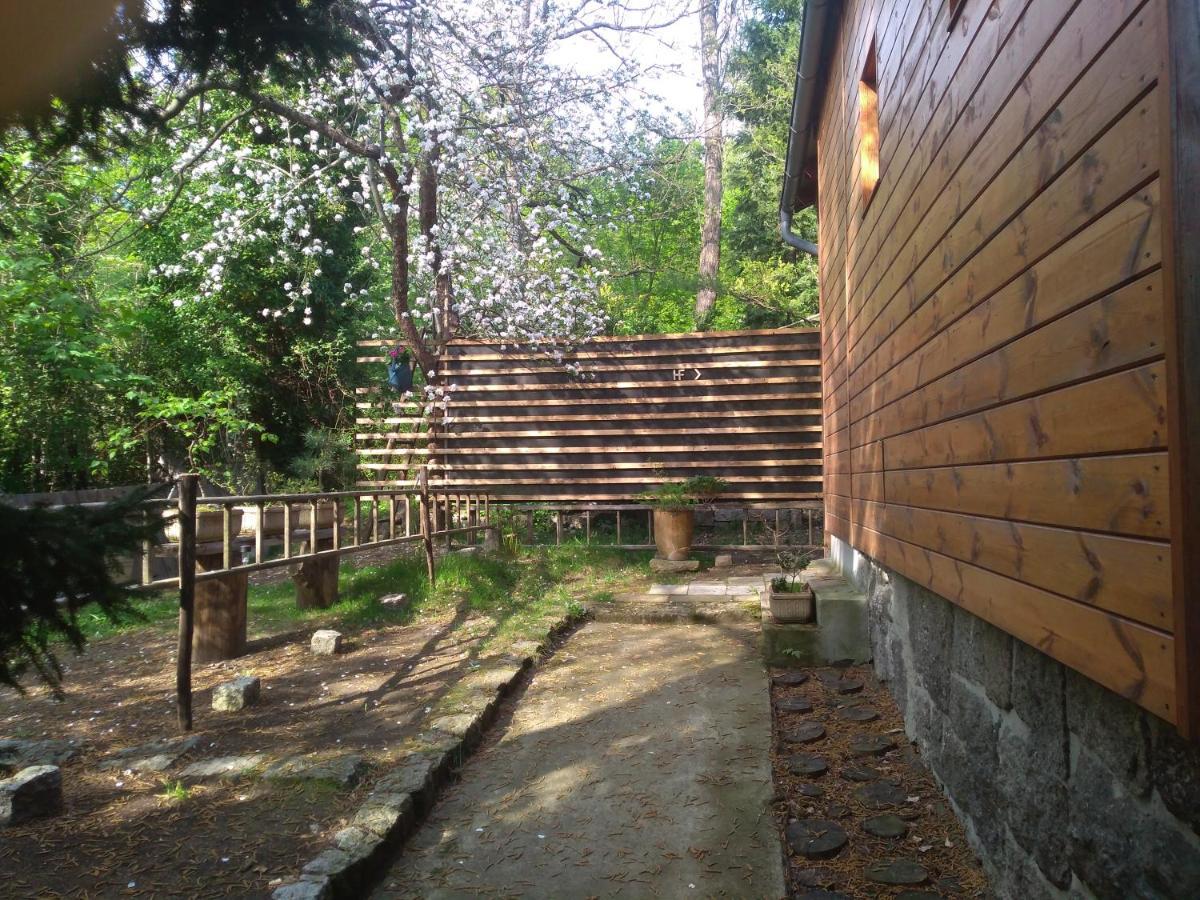 Apartman Hf Liberec Buitenkant foto